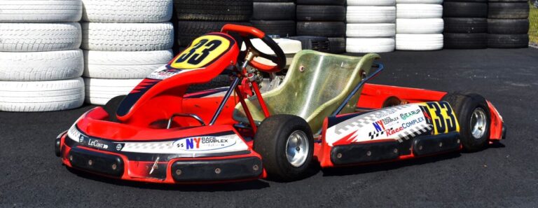 Rental Kart Birel N35